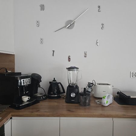 Apartament Przy Kopalni Srebra تارنوفسكي غوره المظهر الخارجي الصورة