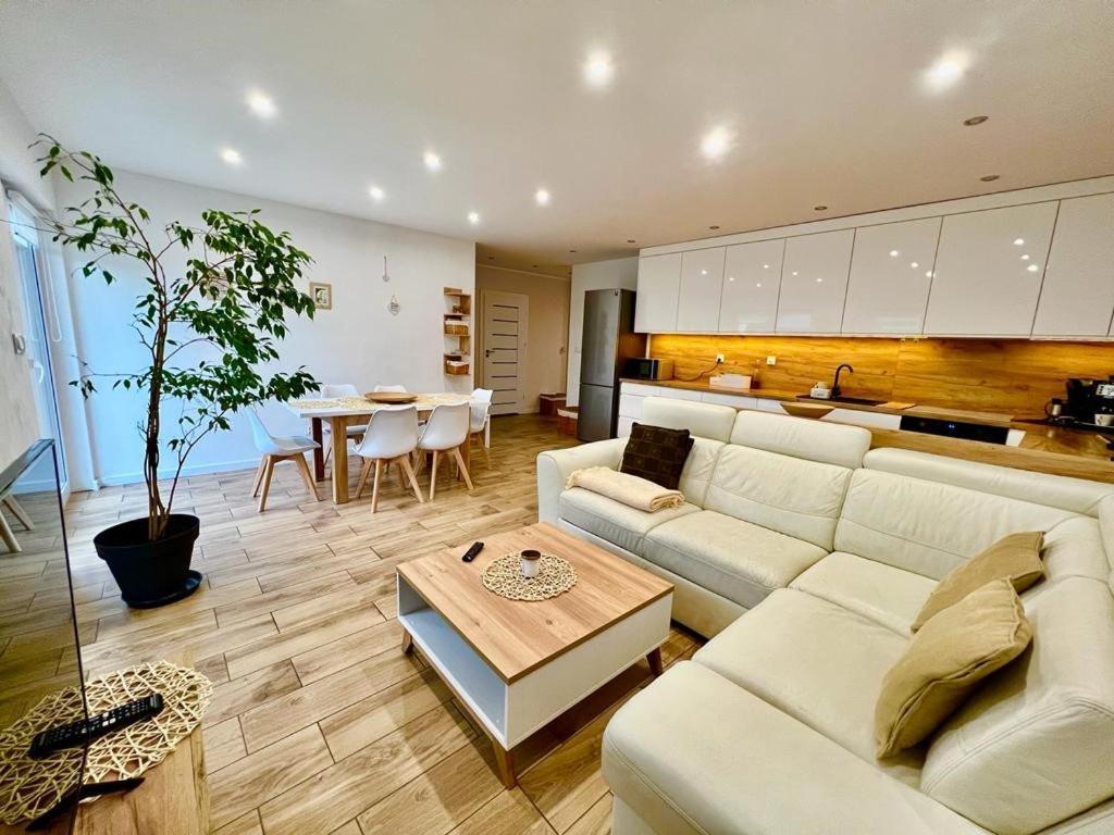 Apartament Przy Kopalni Srebra تارنوفسكي غوره المظهر الخارجي الصورة