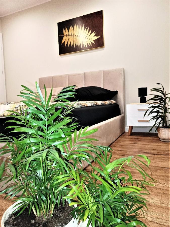 Apartament Przy Kopalni Srebra تارنوفسكي غوره المظهر الخارجي الصورة