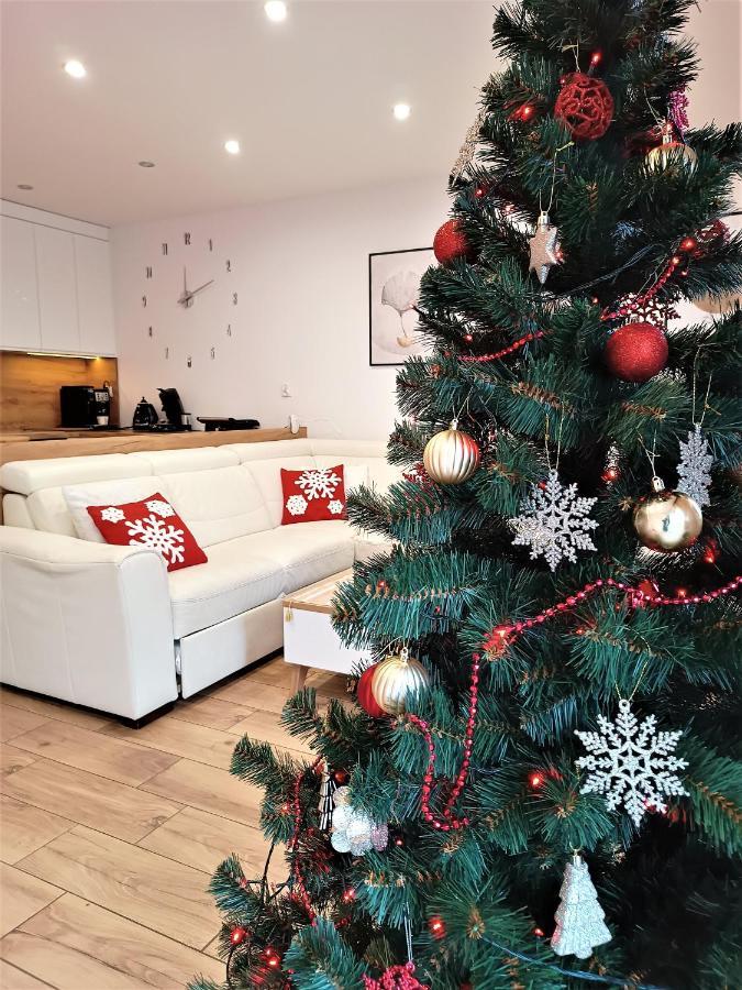 Apartament Przy Kopalni Srebra تارنوفسكي غوره المظهر الخارجي الصورة